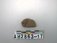 藏品(紅色夾砂素面陶片)的圖片